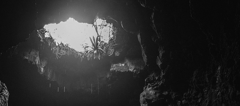 Notes to Self&nbsp;I