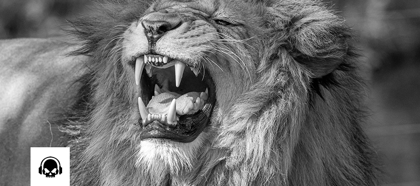 Song of the Moment XCIX: Foo Fighters’ “My&nbsp;Hero”