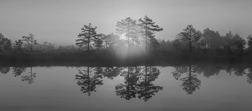 30-Minute Warning XLIV